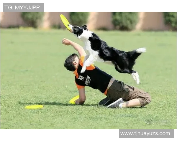 南京飞盘队与北京飞盘队赛后心理素质对比分析与反思