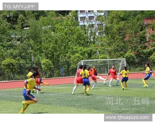 杭州足球队成长之路：一段激情与梦想交织的纪实故事